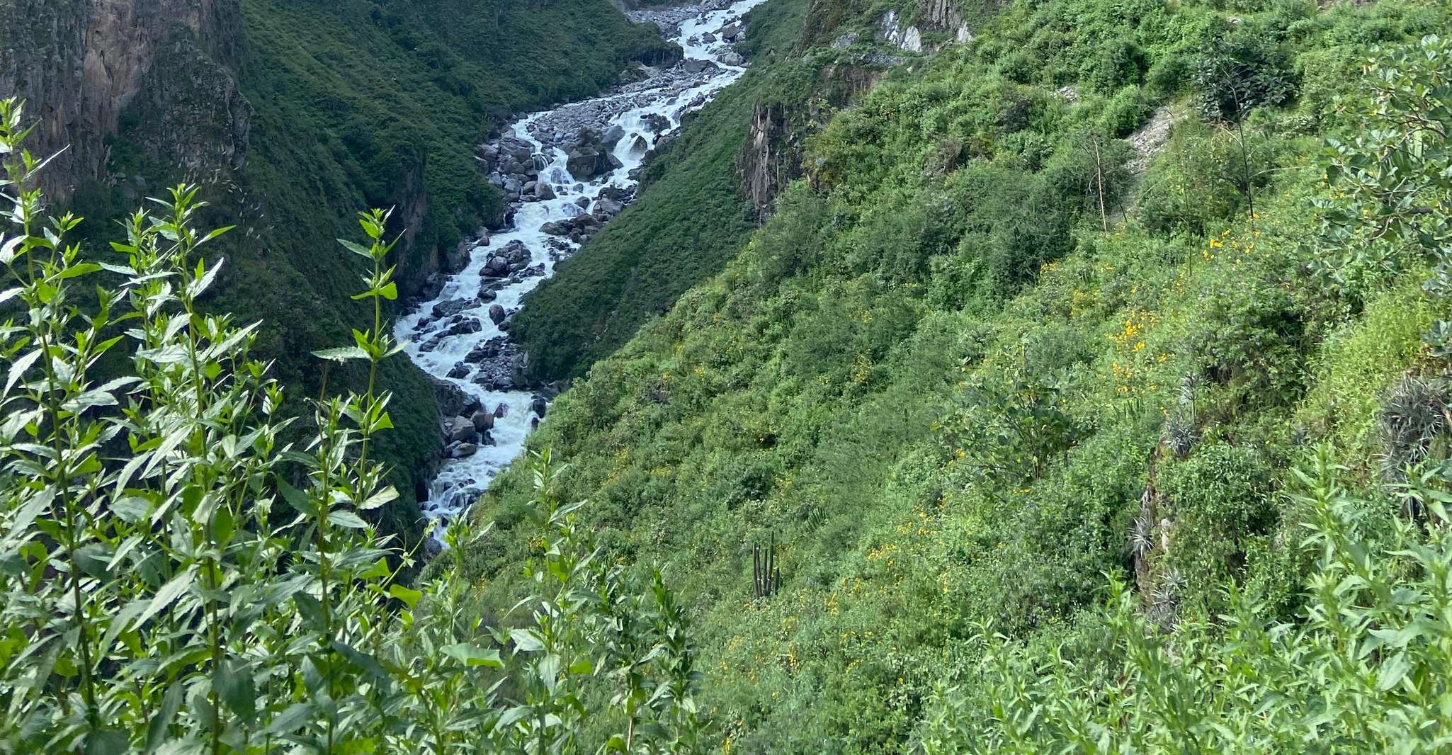 El cañón del colca, trekking al cañón más profundo del mundo - Housity