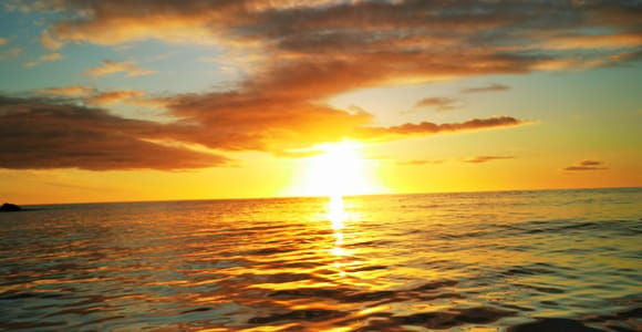 Henningsvær: Midnight Sun RIB Boat Tour with Wildlife