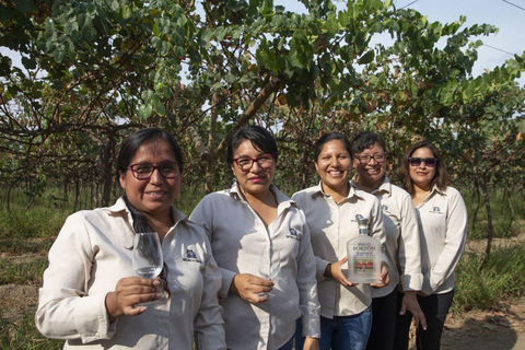 Visita a la Hacienda La Caravedo