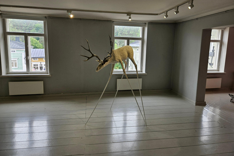 From Helsinki: Porvoo Old Town & River Heritage Guided Tour