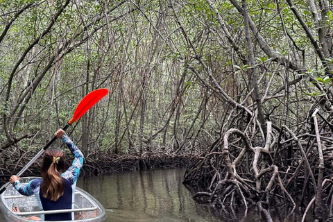 ZANZIBAR: Prison Island visit & Uzi Mangrove Kayak Tour PRIVATE TOUR INCLUDES HOTEL PICKUP AND DROP OFF