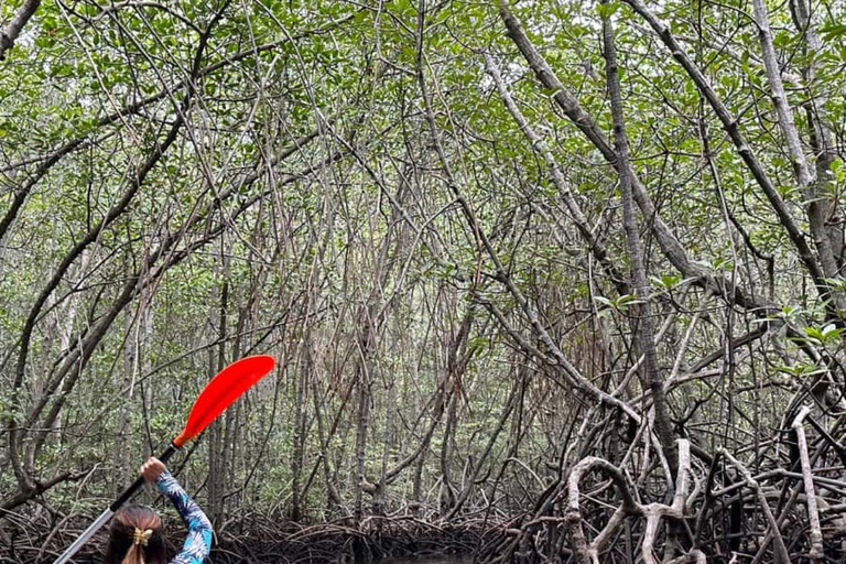 ZANZIBAR: Prison Island visit & Uzi Mangrove Kayak Tour PRIVATE TOUR INCLUDES HOTEL PICKUP AND DROP OFF