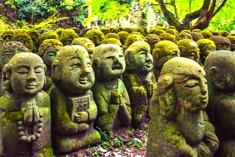Tour turístico privado de 10 días por Japón con guía