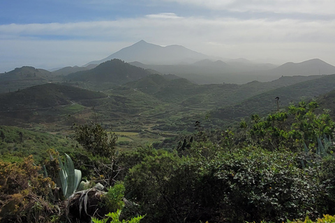 Teno: Circular hike from Erjos over the mountain ridge with views of Masca