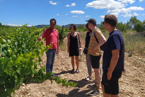 Valencia: Utiel-Requena Wine Tour with Tapas and Wines