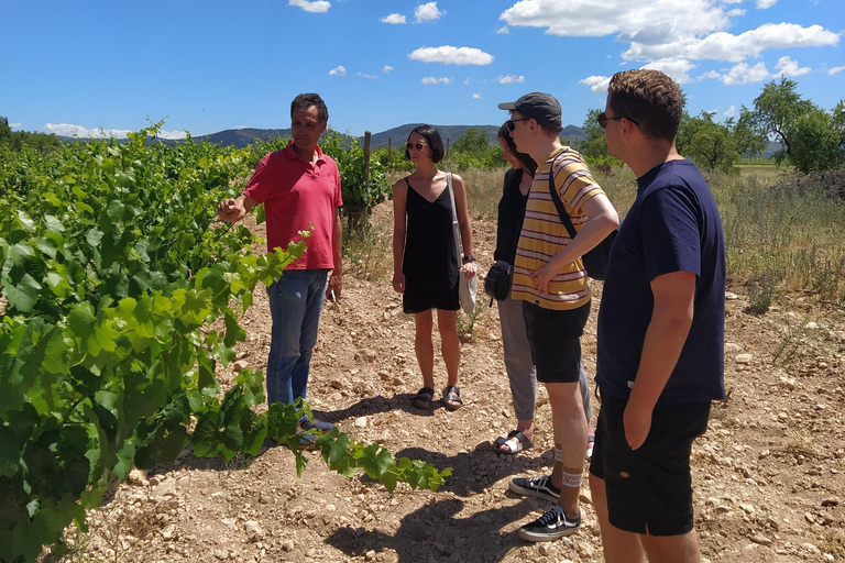Valencia: Utiel-Requena Wine Tour with Tapas and Wines