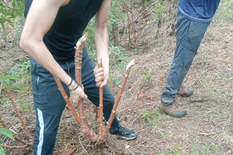 Explorez les sentiers des bassins de la terre sacrée