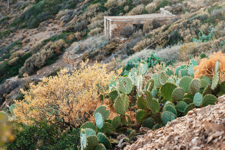 Depuis Athènes : cap Sounion temple de PoséidonDepuis Athènes : cap Sounion au crépuscule - tour privé