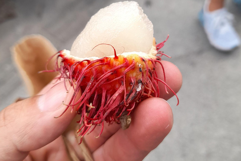 Tour de Guatape : Piedra, El peñol, Alto del chocho