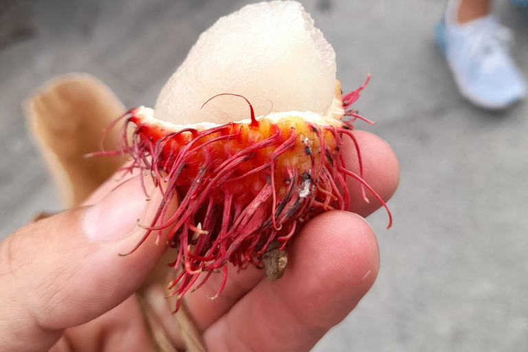 Tour de Guatape : Piedra, El peñol, Alto del chocho