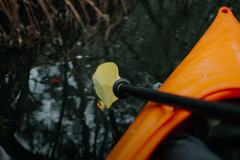 Santuario de Aves Caroni: Kayak en los Humedales