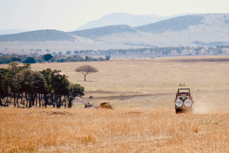 Privat 6-dagars rundtur i norra Tanzania (Safari och kultur)