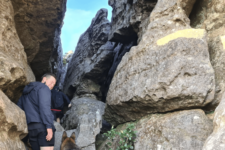 Hike Table Mountain in Cape Town with an Experienced Guide Devil’s Peak Summit Guided Hike