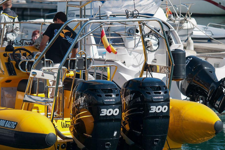 Lanzarote: avvistamento dei delfini in barca veloceTour mattutino con i delfini e bagno nella spiaggia di Papagayo