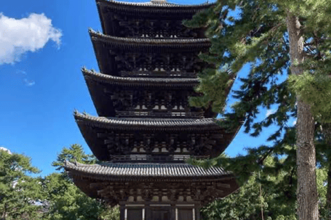 Nara: Private Full-Day Tour with Licensed Guide