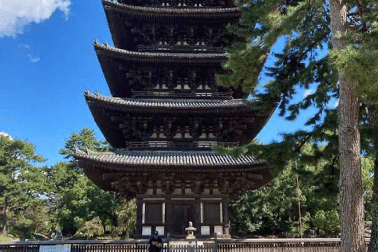 Nara: Private Full-Day Tour with Licensed Guide