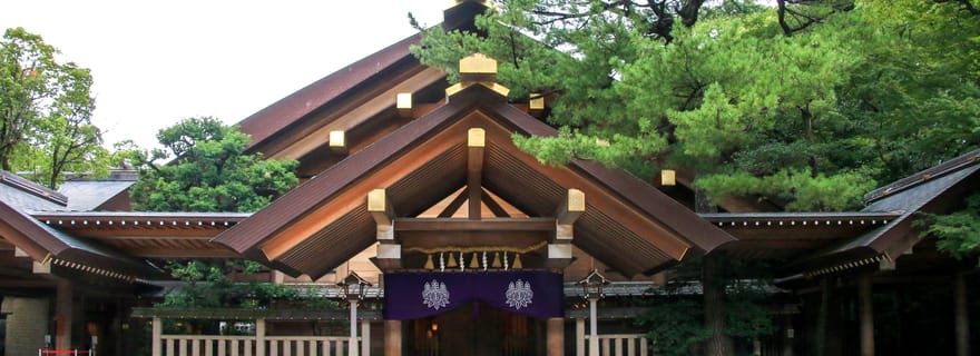 Visite gastronomique et culturelle de Nagoya : sanctuaire d'Atsuta et marché d'Osu