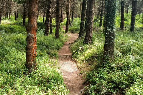 科托帕希：公园山脉自行车骑行，自然与乐趣并存科托帕希：骑行穿越公园山脉，尽享自然与乐趣