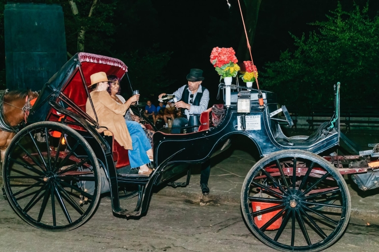 Central Park NYC: Horse and Carriage Ride