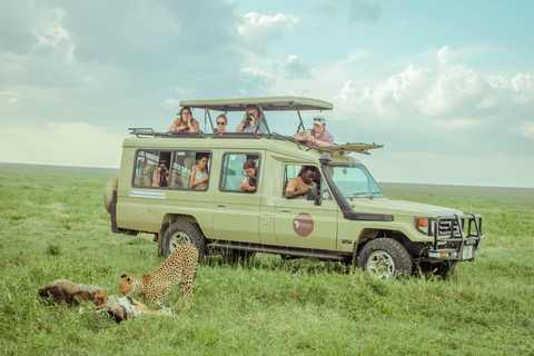 Zanzibar: 4-Day Mid-Range Safari Special for Honeymooners