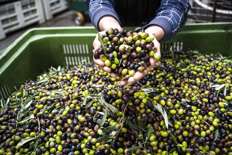 From Loutraki: Ancient Corinth, Canal, and Olive Oil Tour