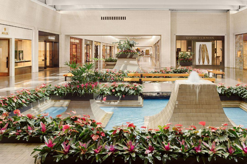 Dallas: Guided Shopping Tour with Lunch at the Zodiac Room