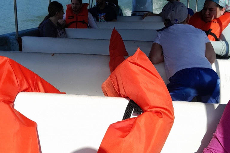 Panama: Wycieczka z atrakcjami i łodziami w Panamie
