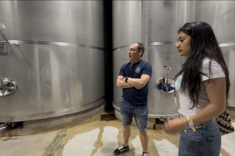 Traditional Cider House Tour | Zapiain, San Sebastián
