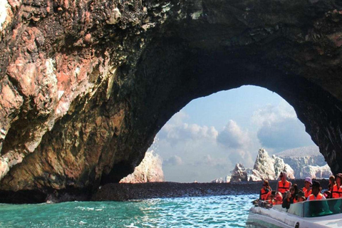 Ica : excursion d&#039;une journée dans les îles Ballestas et la réserve nationale de Paracas