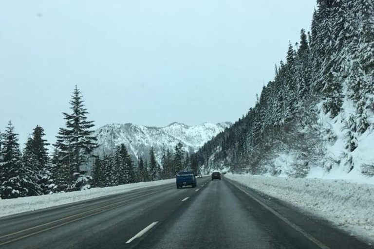 Från Portland: Utforska Mt Saint Helen i en liten grupp