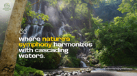 4D3N-Tumpak Sewu-Bromo-Ijen-Ketapang - Housity