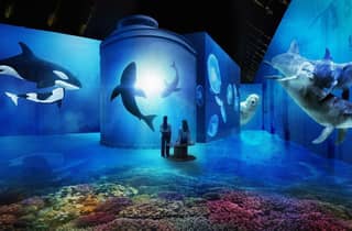 Amsterdam: Fabrique des Lumières Das Meer Eintrittskarte