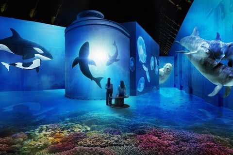 Amsterdam: Fabrique des Lumières Das Meer Eintrittskarte