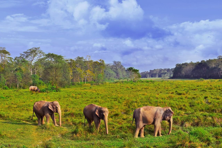 Safari privado de 3 días por Chitwan