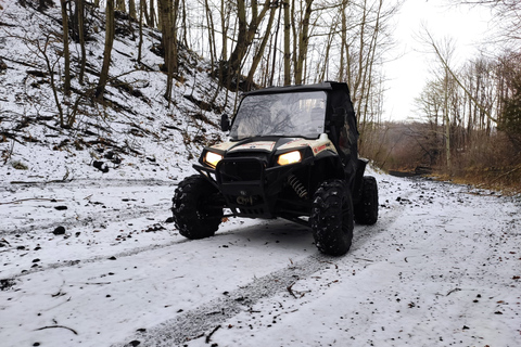 Etna Buggy 4x4-tur