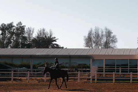 Dubai: Desert Horse Riding Experience at JSR Equestrian Club Shared Group Horse Riding - 1 Hr