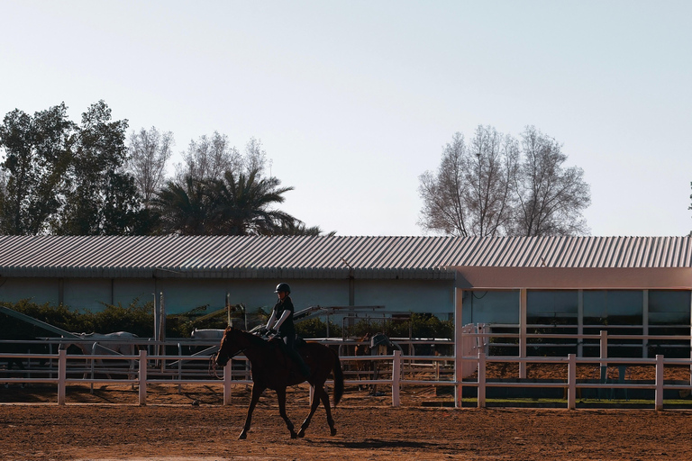 Dubai: Desert Horse Riding Experience at JSR Equestrian Club Shared Group Horse Riding - 1 Hr