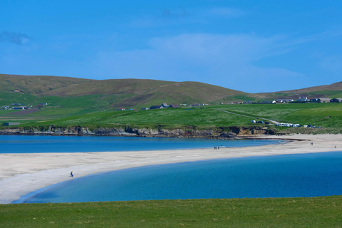 Z Edynburga: 6-dniowy Szetlandy i Nothernmost Explorer6-dniowy Shetland Explorer - łóżko pojedyncze