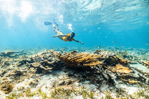 5 in 1 Snorkeling Boat Experience in Cancun