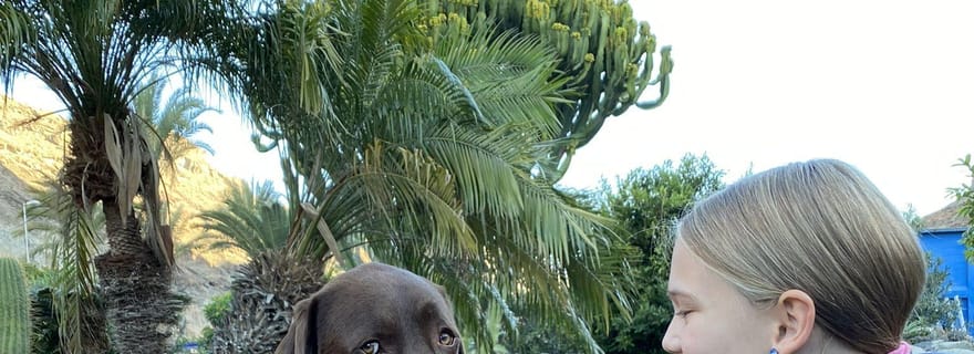 Grande Canarie : Expérience exclusive de chiens de thérapie en pleine nature