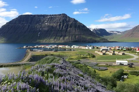 Ísafjörður: Flateyri Village tour: Local Culture & History