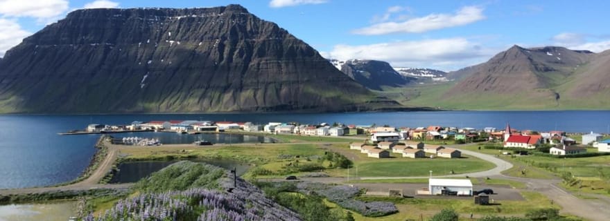 Ísafjörður : visite du village de Flateyri : nature, culture, histoire