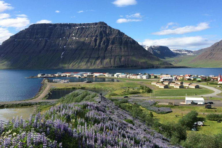 Ísafjörður: Dynjandi Waterfall & Flateyri Village Tour