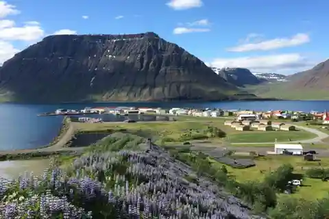 Ísafjörður: Flateyri Village tour: Local Culture & History