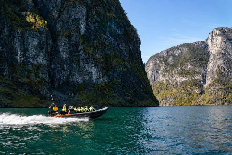 Flåm: Nærøyfjord RIB-boat Experience & Waterfalls