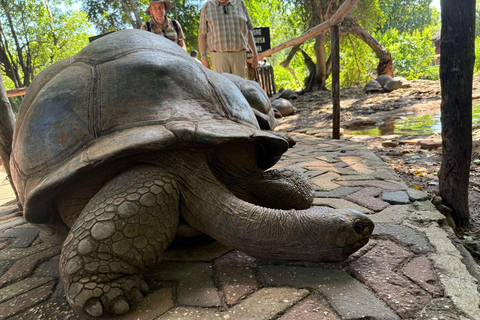 Zanzibar : excursion d'une journée à l'île-prison et au marché alimentaire nocturne (visite nocturne)Visite privée sans prise en charge à l'hôtel et retour à l'hôtel