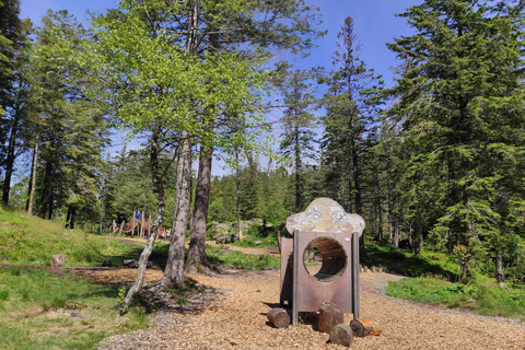 Tour privato delle montagne di Bergen come un abitante del luogo