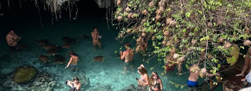 Zanzibar : excursion dans la forêt de Jozani et le sanctuaire des tortues marines