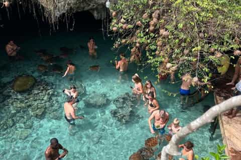 Zanzibar: Jozani Forest & Sea Tortoises Sanctuary Tour - 2026