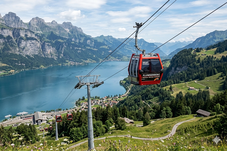 Zurich: Train, Cable Car, Mountain Alps & Walensee Boat Trip